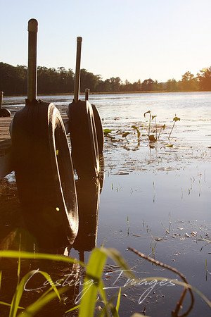 "On the Lake" photograph